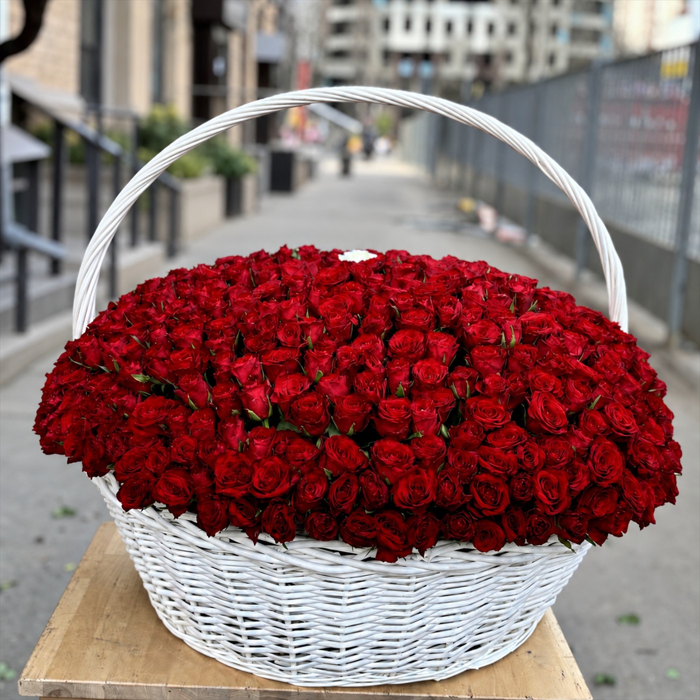 Корзина из 501 красной розы