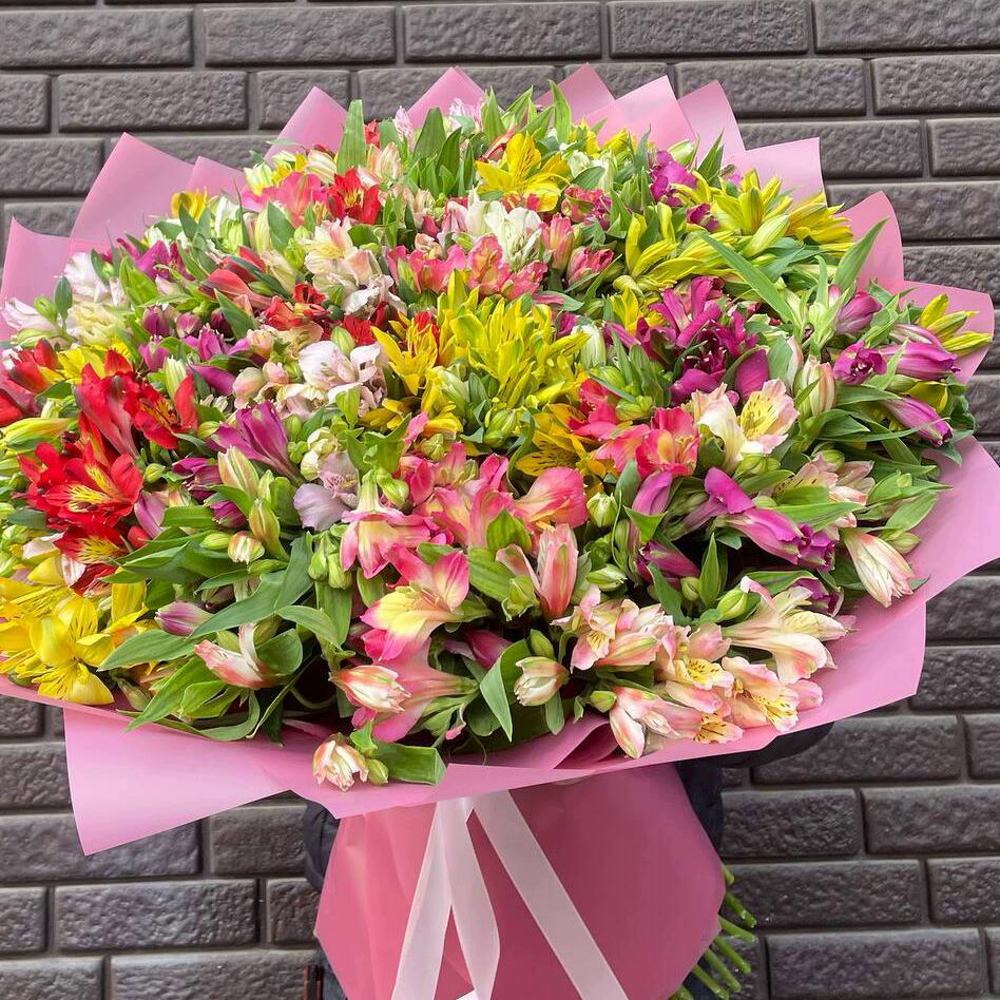 НАРАСХВАТ! 101 яркая альстромерия