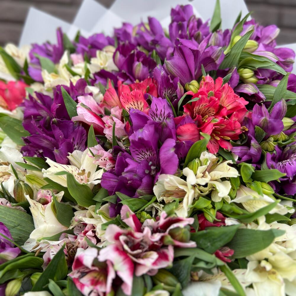 НАРАСХВАТ! 51 яркая альстромерия