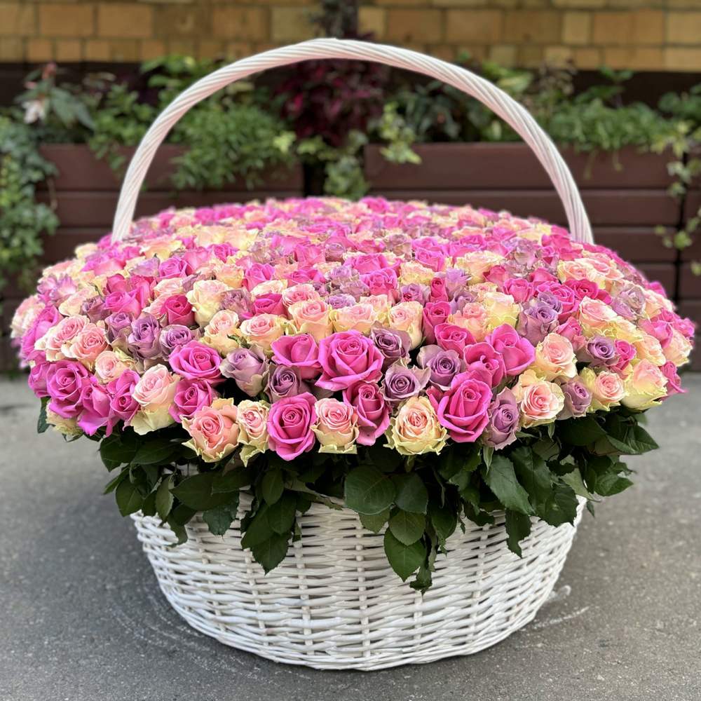 Букет из 501 розы МИКС