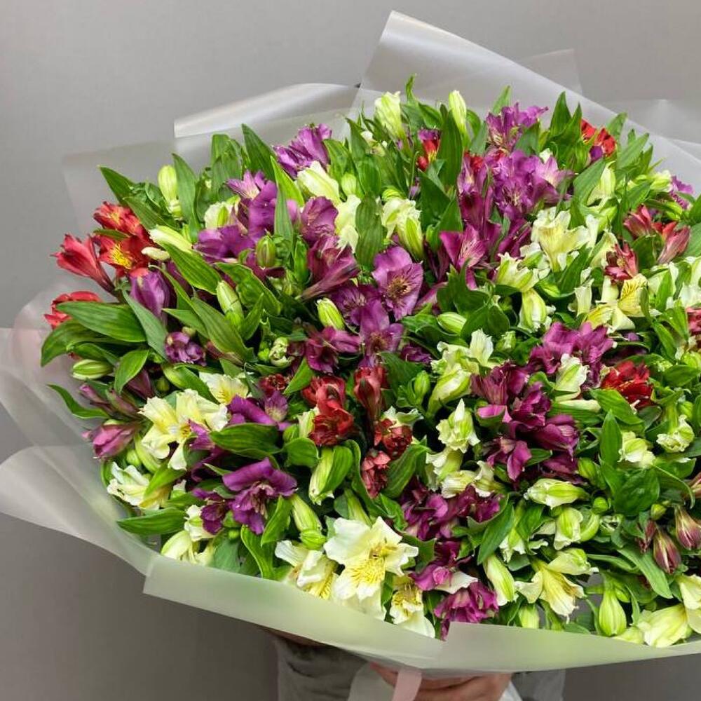 НАРАСХВАТ! 51 яркая альстромерия