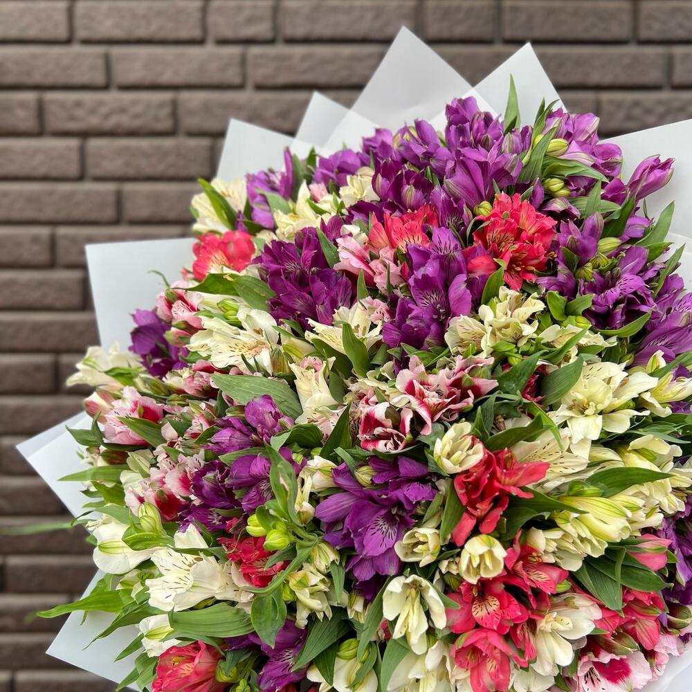 НАРАСХВАТ! 51 яркая альстромерия