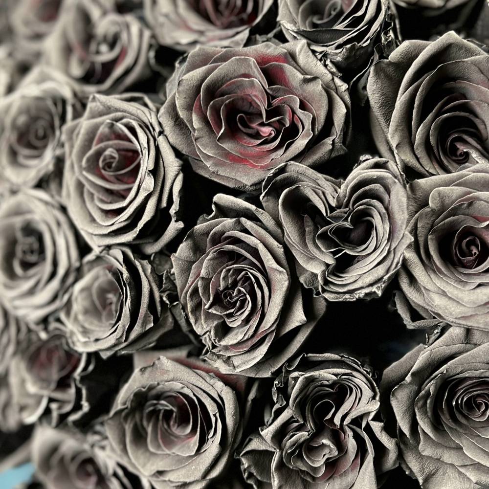 Букет из 51 чёрной розы