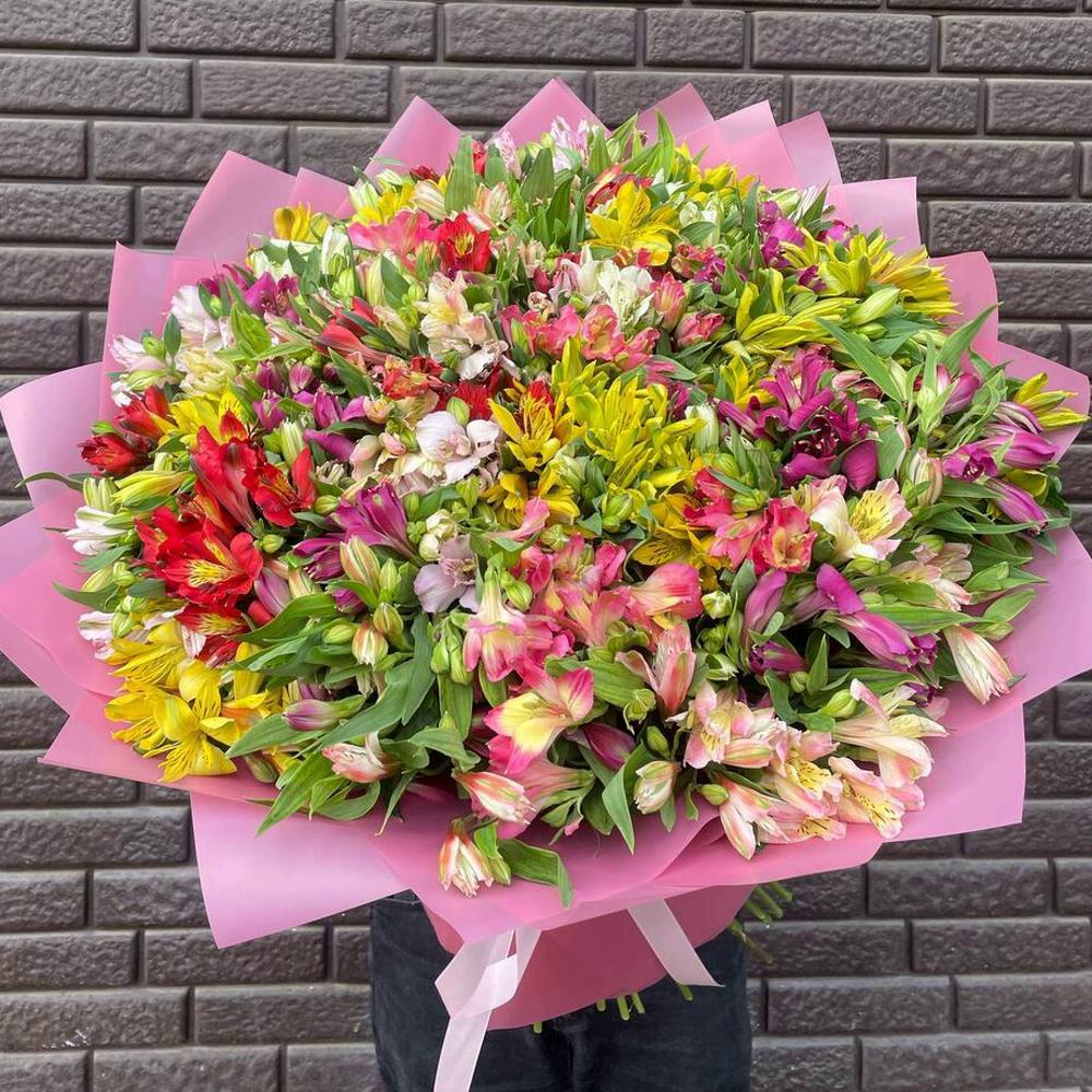 НАРАСХВАТ! 101 яркая альстромерия