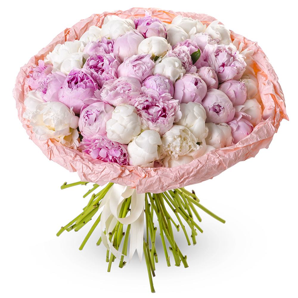 Букет MIX из 51 пиона