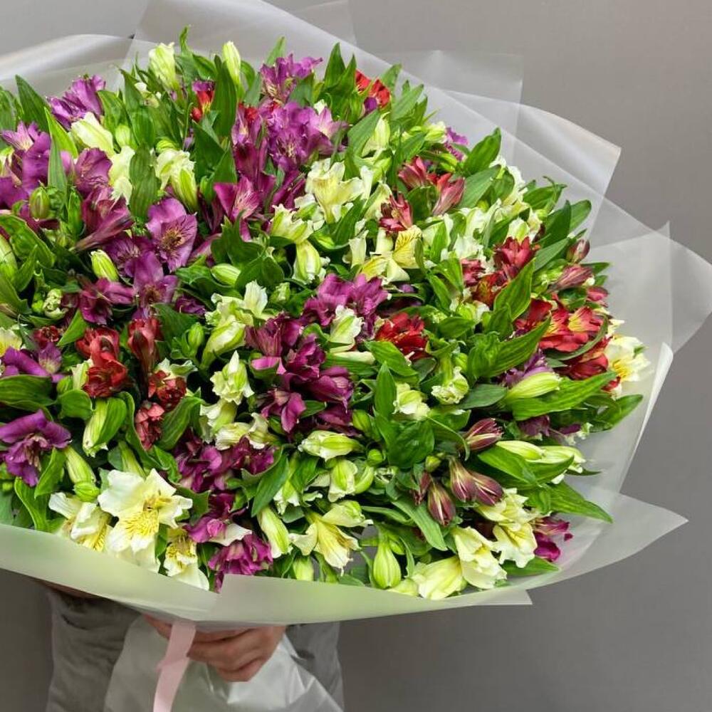 НАРАСХВАТ! 51 яркая альстромерия