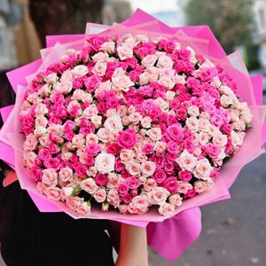 51 кустовая роза