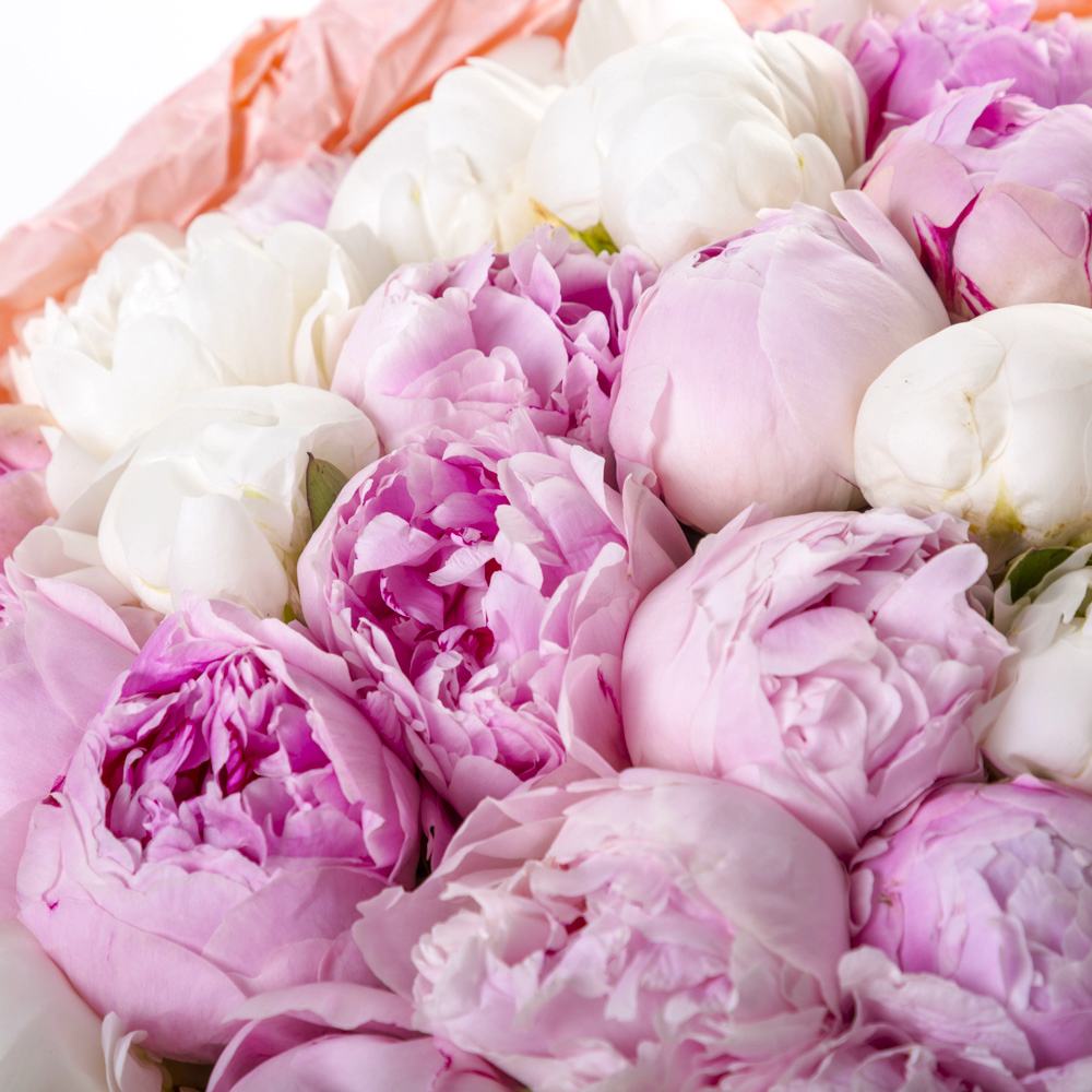 Букет MIX из 51 пиона