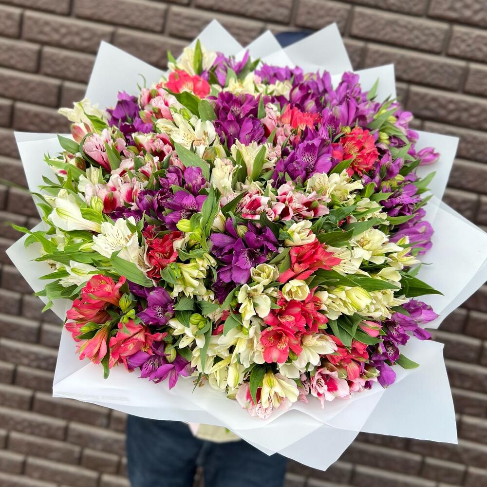 НАРАСХВАТ! 51 яркая альстромерия