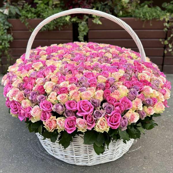 Букет из 501 розы МИКС