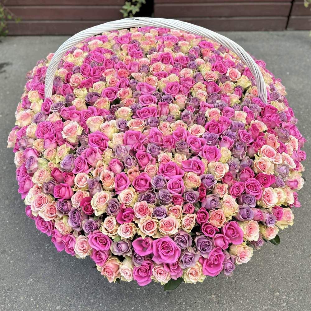 Букет из 501 розы МИКС