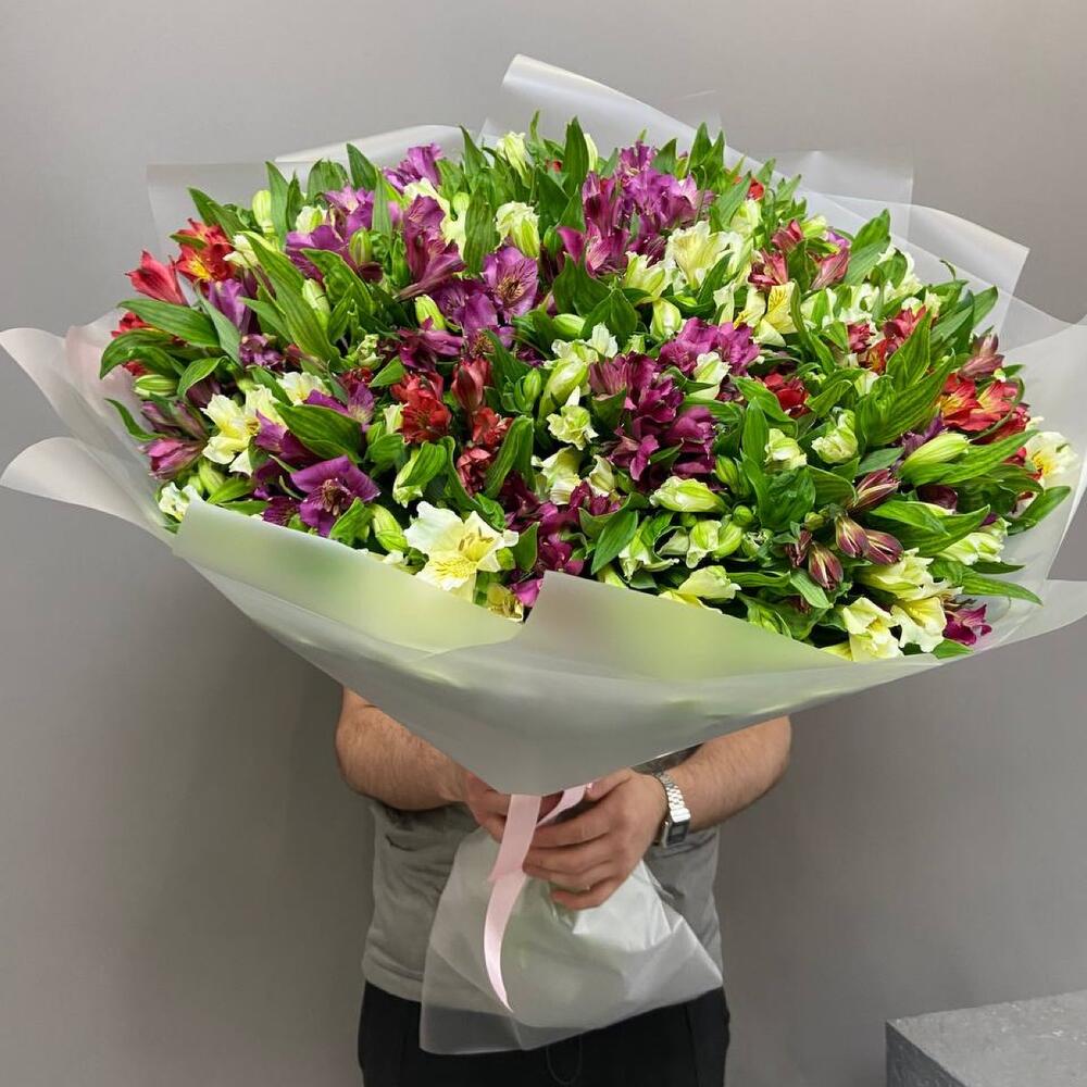 НАРАСХВАТ! 51 яркая альстромерия