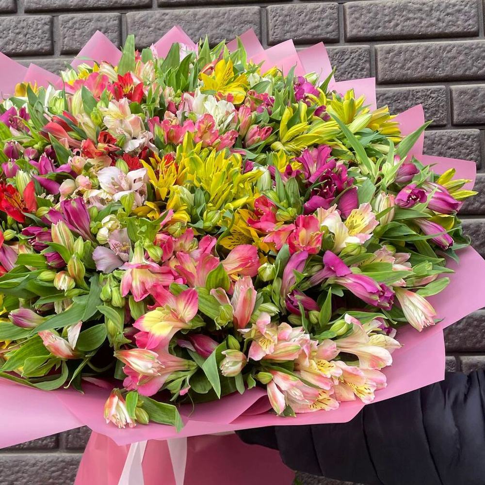 НАРАСХВАТ! 101 яркая альстромерия