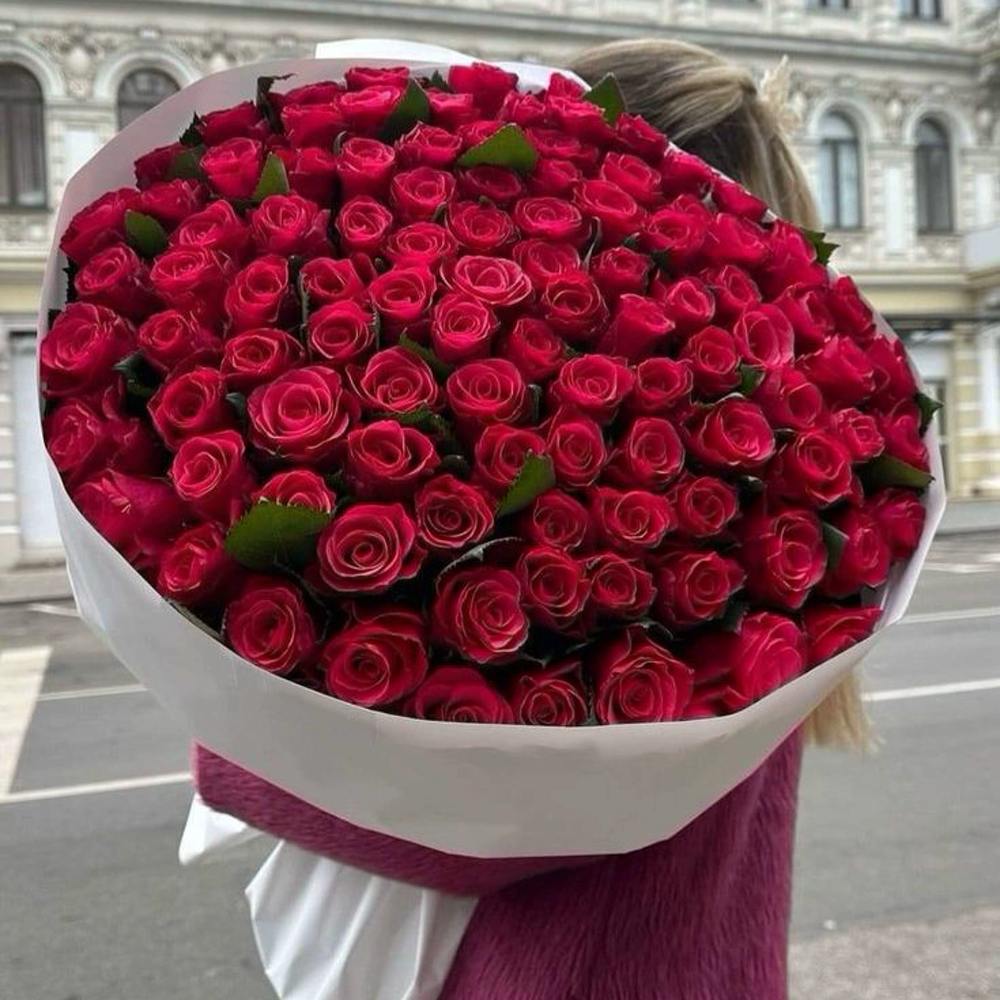 101 красная роза Premium 50 см.