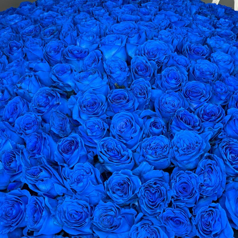 301 синяя роза в корзине