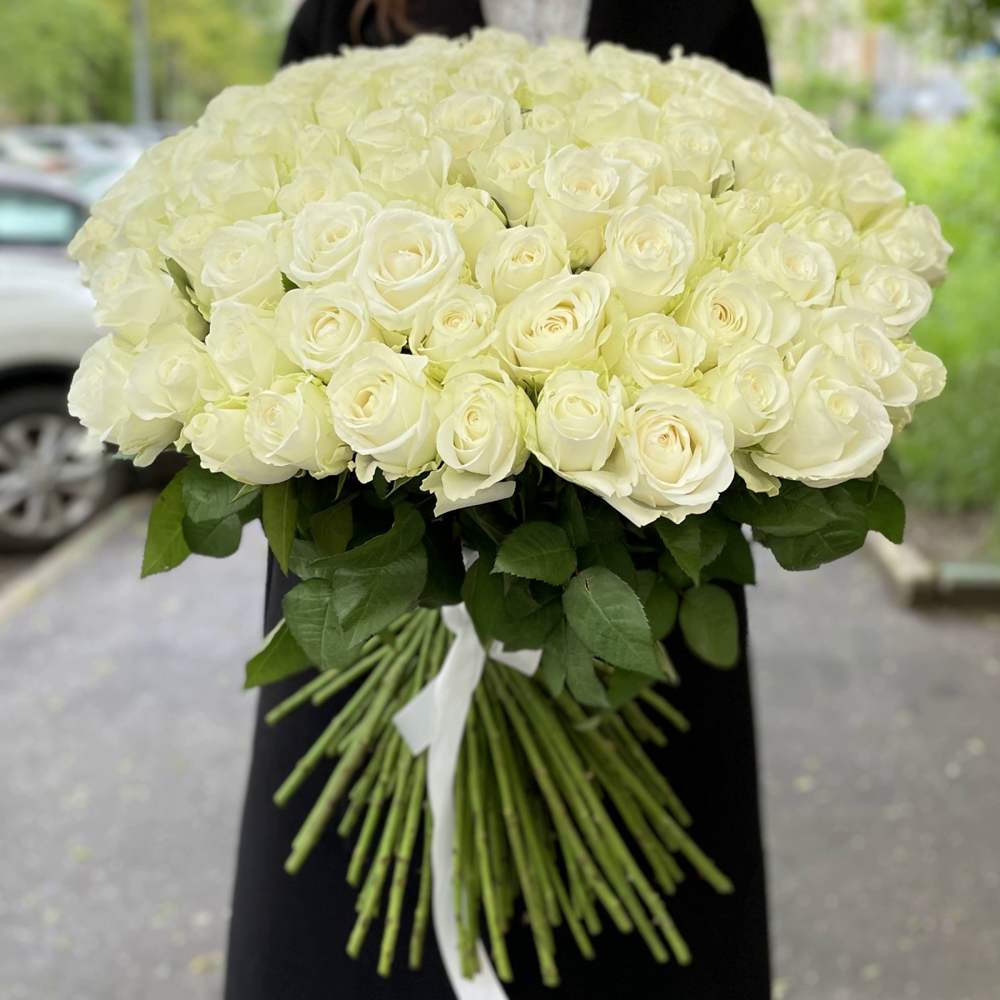 Букет из 101 белой розы Premium