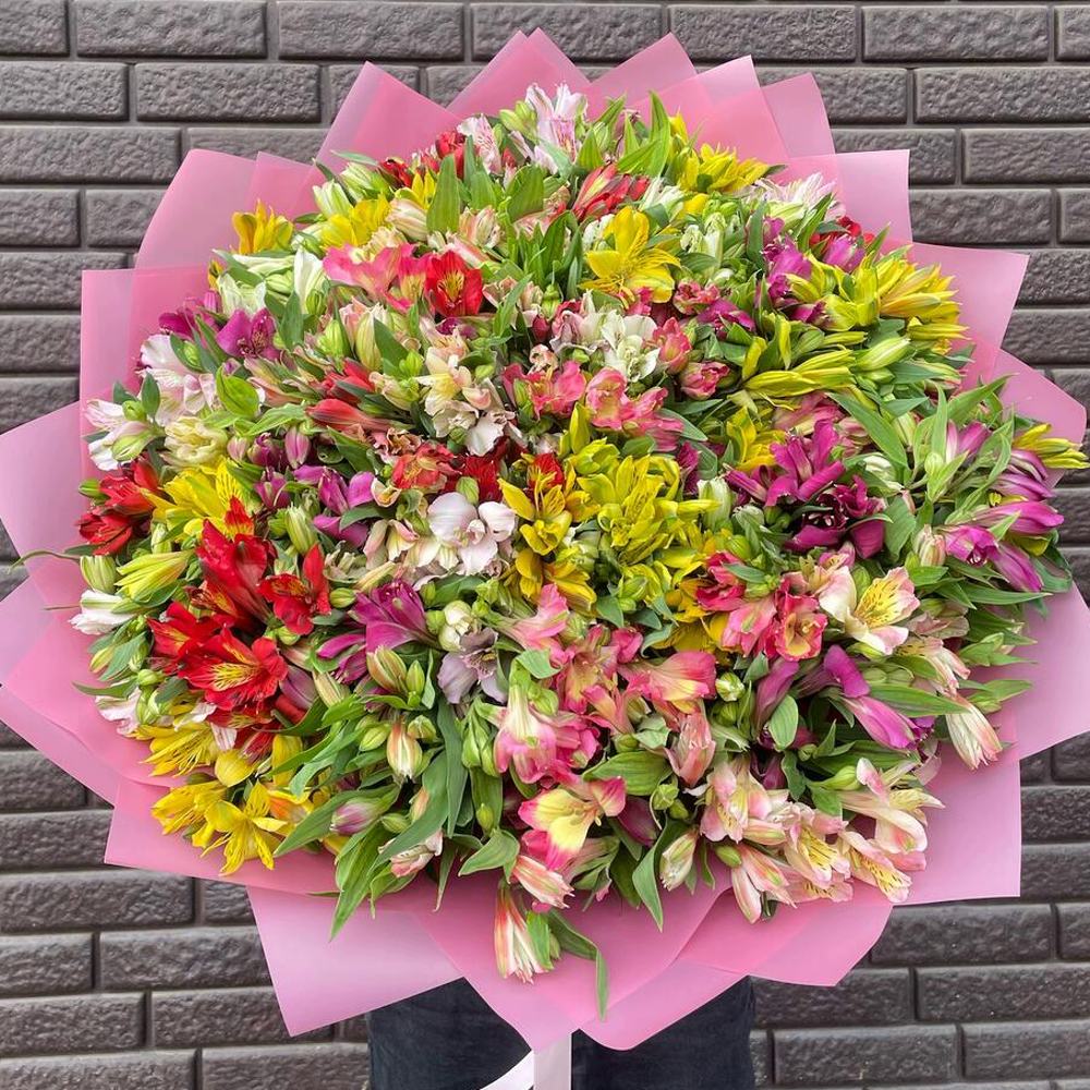 НАРАСХВАТ! 101 яркая альстромерия