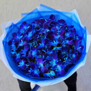 Букет из 35 космических орхидей