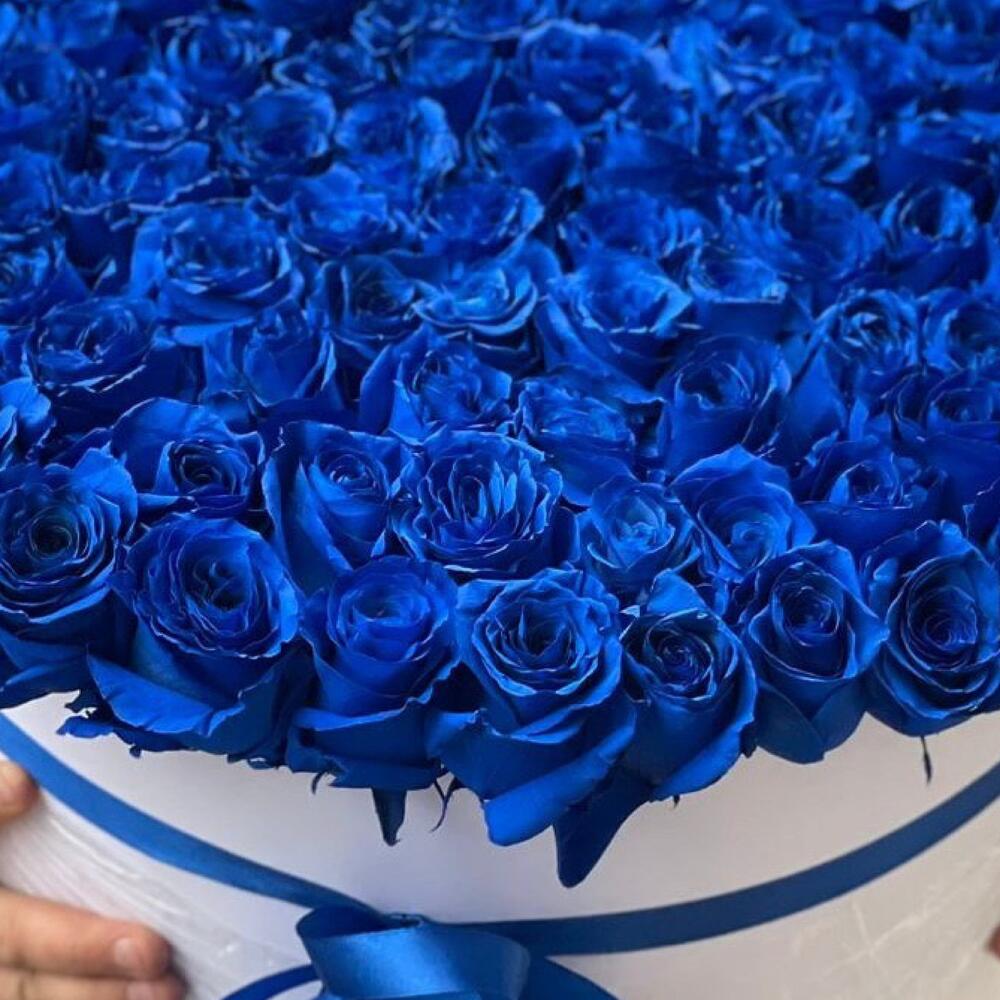 101 синяя роза в коробке