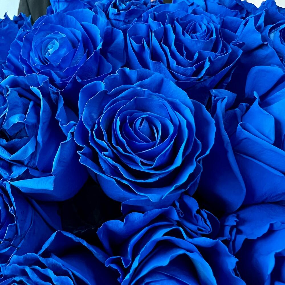 101 синяя роза в коробке