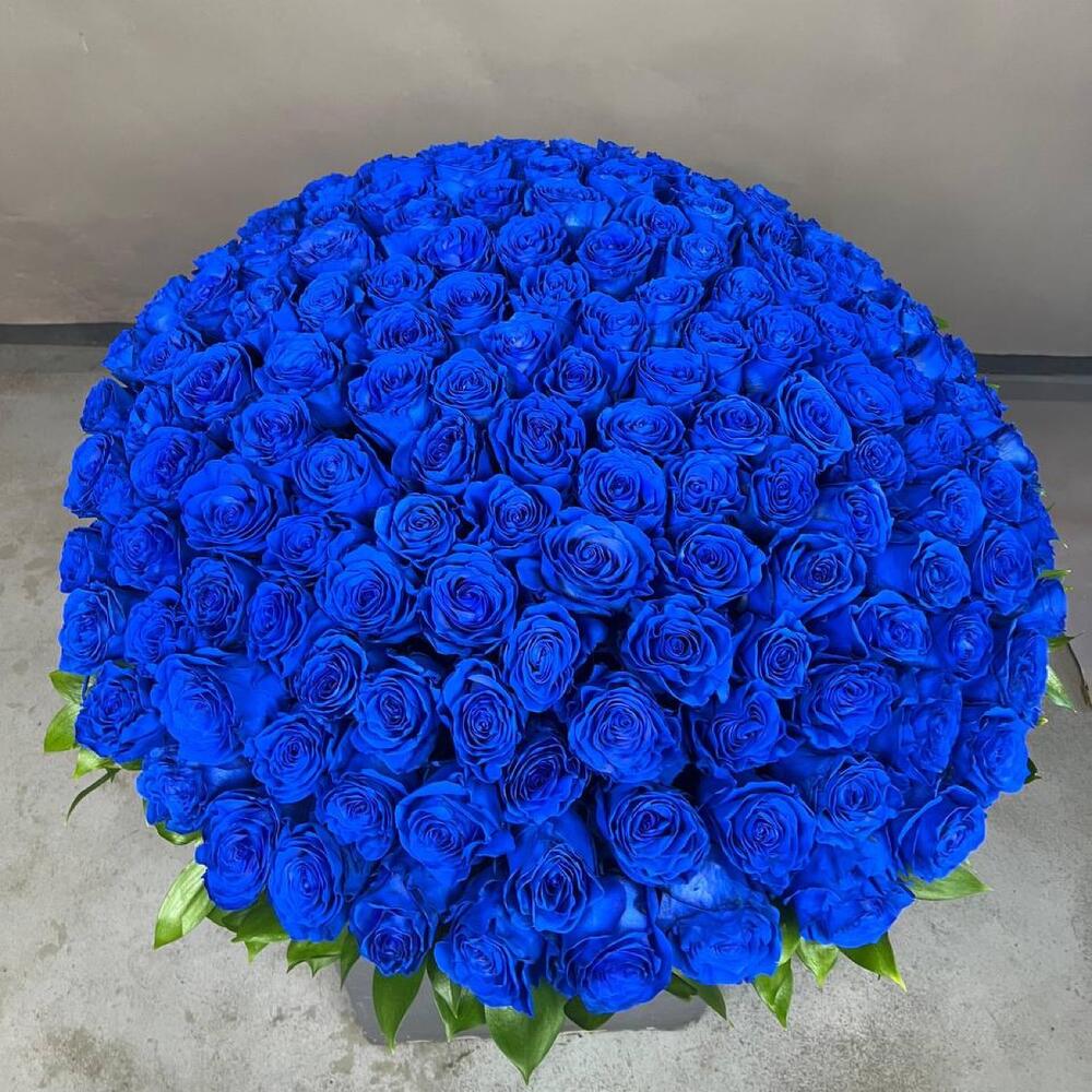 101 синяя роза в корзине