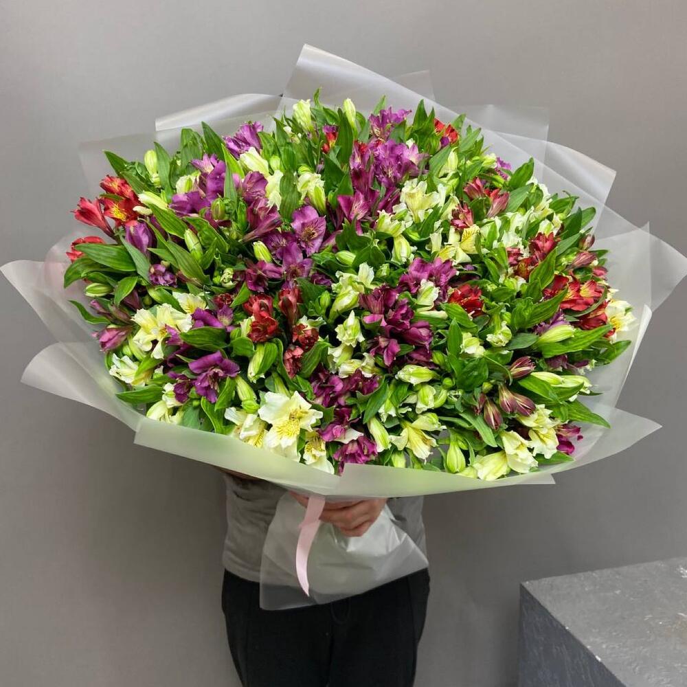 НАРАСХВАТ! 51 яркая альстромерия