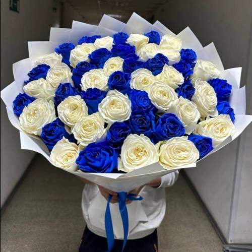 Букет из 51 синей и белой розы