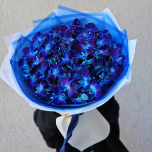 Букет из 35 космических орхидей