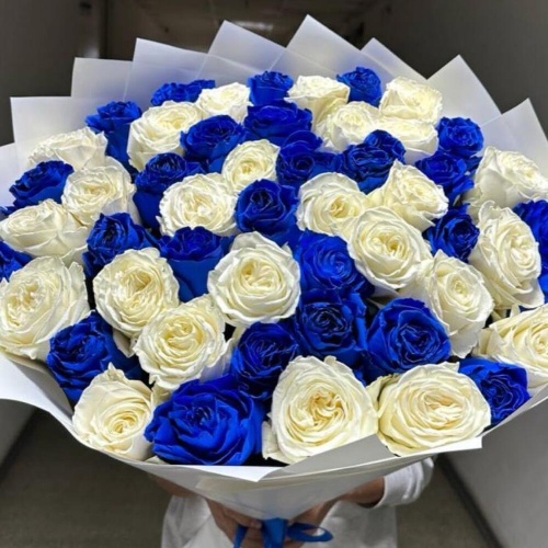 Букет из 51 синей и белой розы