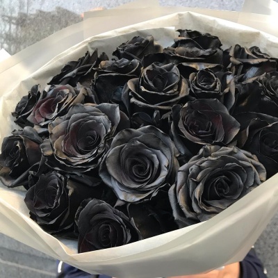 Букет из 19 чёрных роз