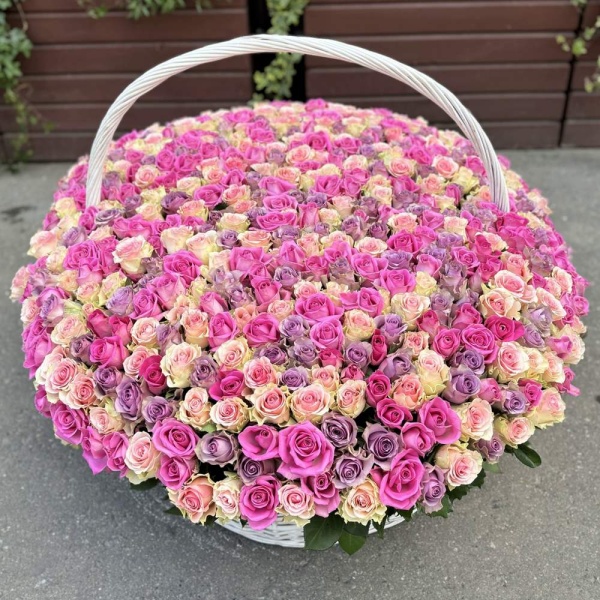 Букет из 501 розы МИКС